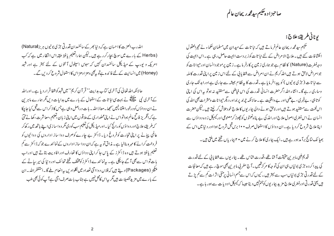 Hakeem-syed-muhammad-rehan-alam-bio-page-1-1